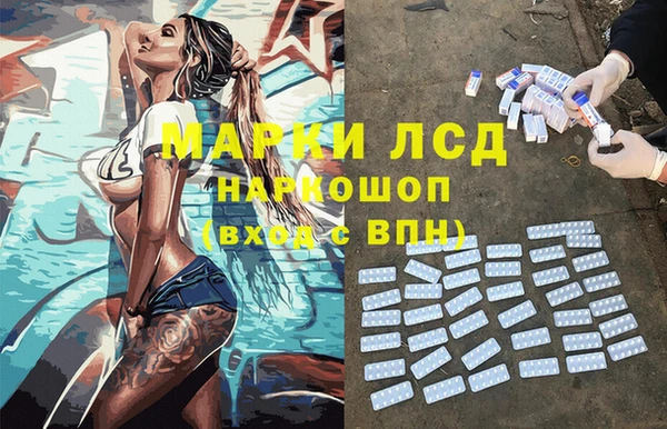 хмурый Новозыбков
