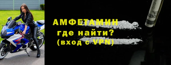 индика Новокубанск